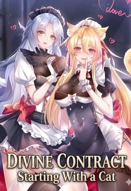 Divine Contract: Starting With a Cat